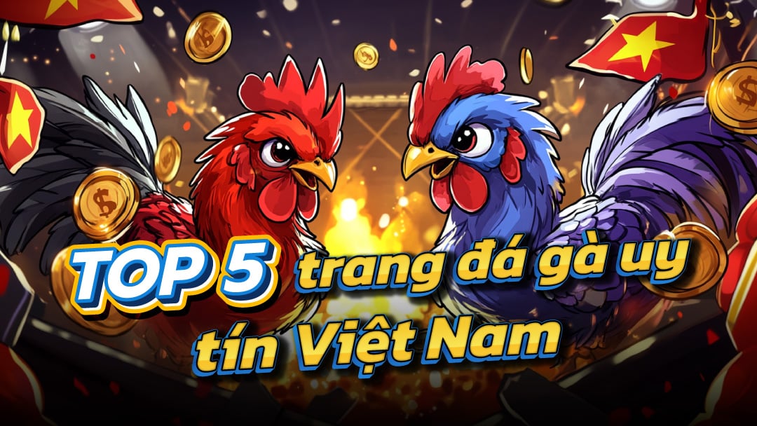 So sánh nhà cái uy tín io với các trang khác: Đá gà trực tiếp casino ở đâu tốt nhất?